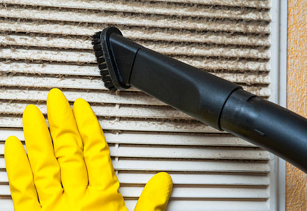 Best Affordable Duct Cleaning Services  in Norway, MI